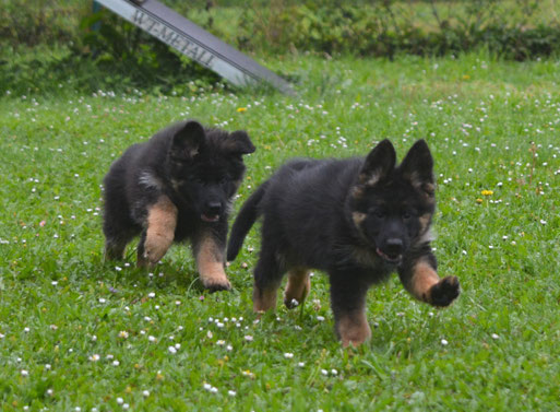 Nisha und Nela