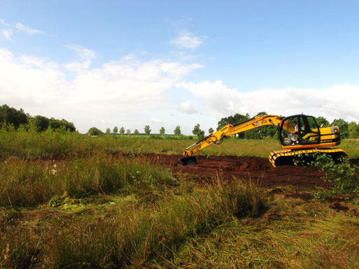 Anlage eines Kleingewässers in Glinstedt