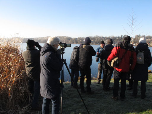 Gemeinsam Natur beobachten und schützen     Foto: NABU / A. Putsch