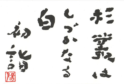 杉叢はしづかなる白初詣