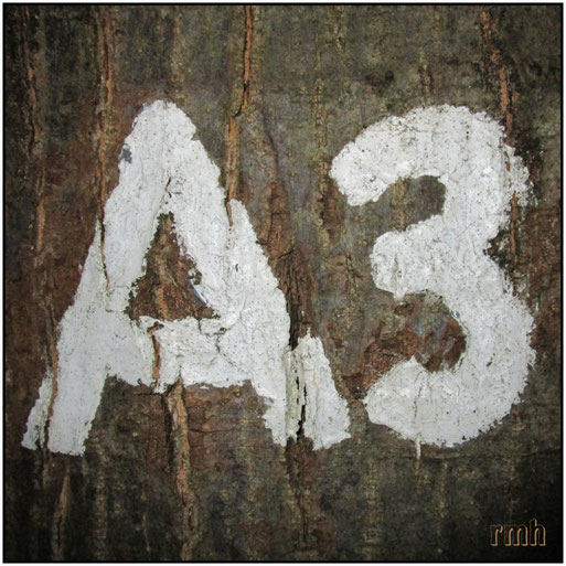 A3