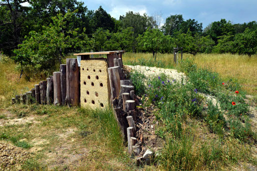 Die Bienenburg auf der Waldhufe Doberlug-Kirchhain (Landeck 2024)