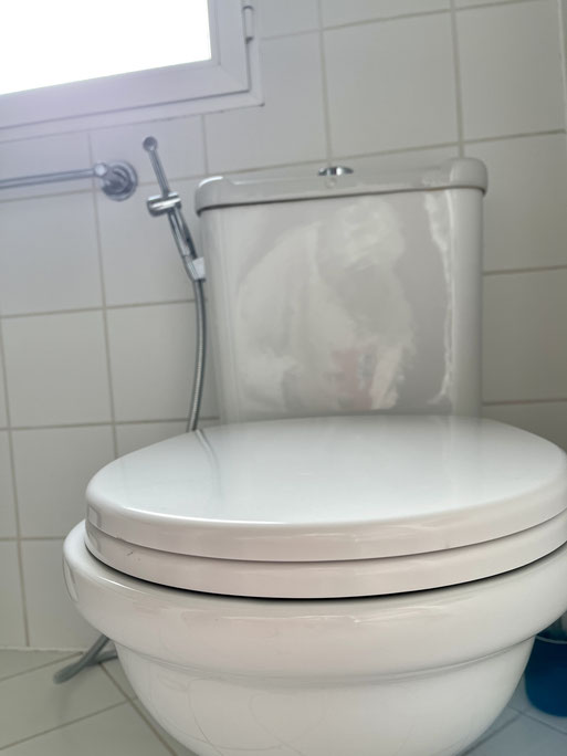 Toilette mit Intimdusche