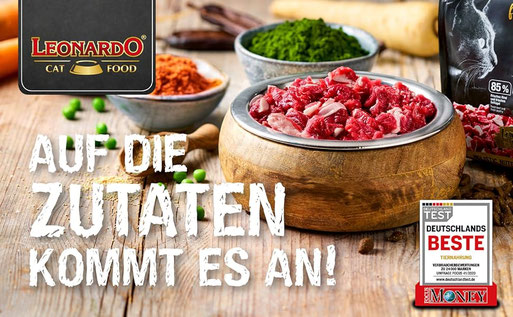 In Zusammenarbeit mit