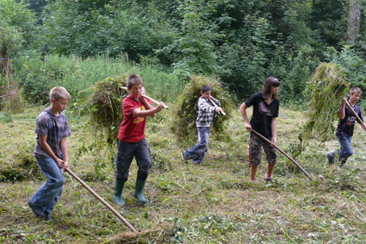 Die „Parthenfrösche“ bei der Wiesenpflege. Foto: NABU Plaußig