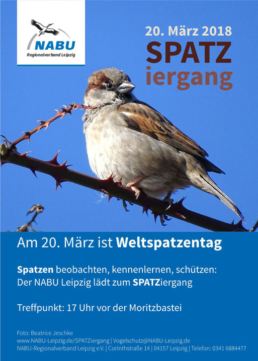 Single leben als mann Single leben als mann