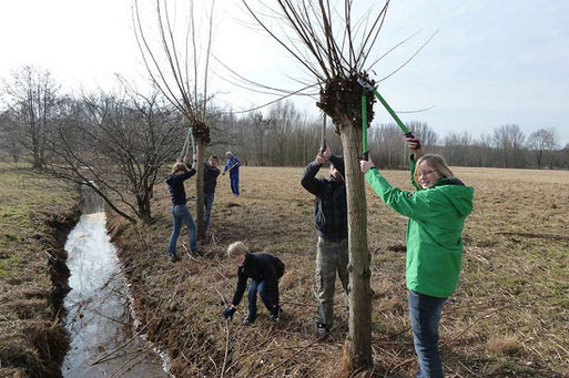 Foto: NABU Plaußig