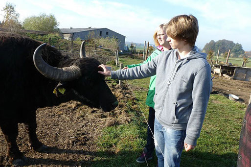 Foto: NABU Plaußig