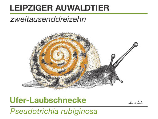 Abbildung: Lutz-Erich Müller