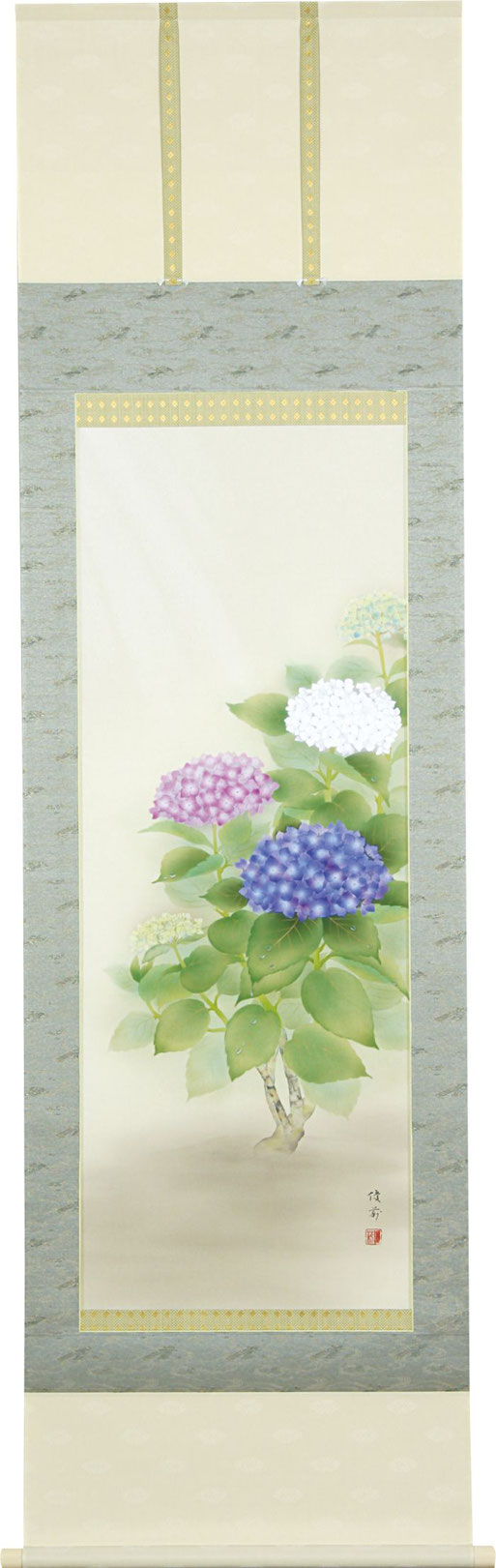 掛軸「紫陽花」鈴木優莉 尺五立（A-1549）