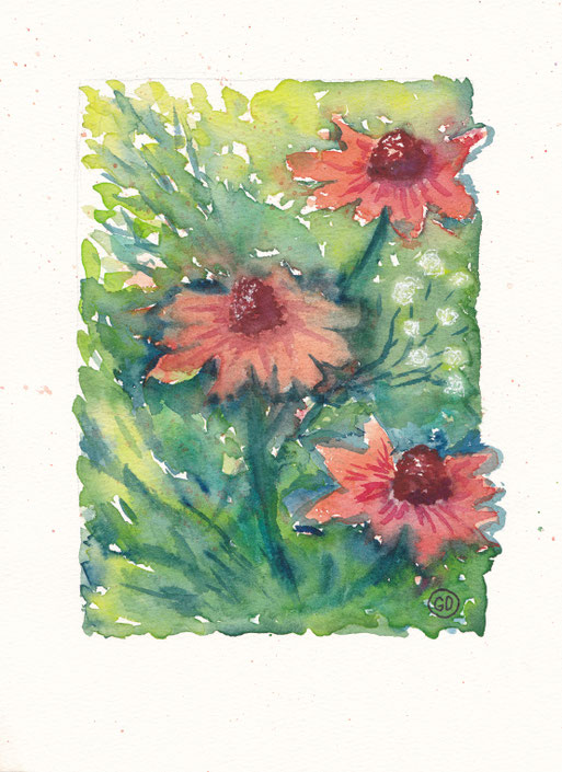 Echinacea 19x27cm, 200€