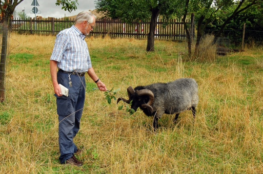 Hans-Jürgen Fittschen auf der Bedburger Ruppertswiese ©OG Bedburg