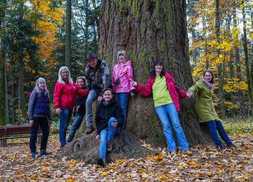 Gruppenbild mit Mammutbaum