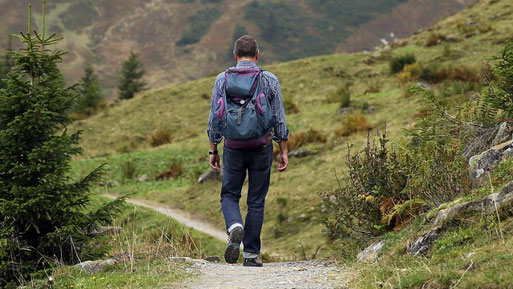 Mann, Rückansicht, beim Wandern in hügliger Landschaft.