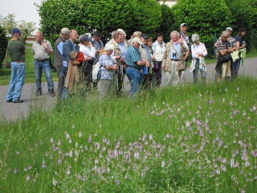 Axel Junker präsentiert die Schönheit und Eigenheiten der heimischen Orchideen (vorne im Bild).