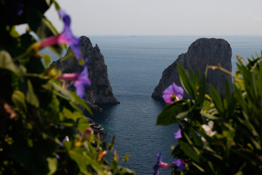 Felsen im Meer auf Capri, Italienreise