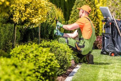 Curso de jardinería