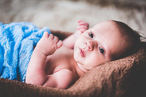 Newbornbilder, Babybilder und Familienbilder in meinem Fotostudio in Wittenberge.