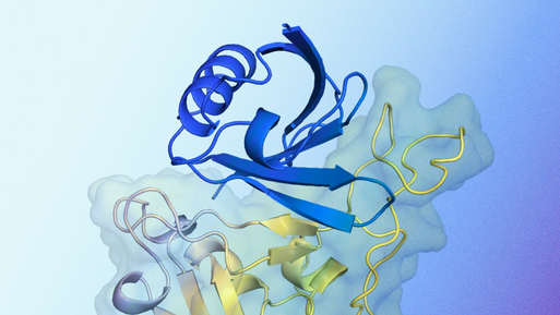 AlphaProteo génère de nouvelles protéines pour la recherche en biologie et en santé