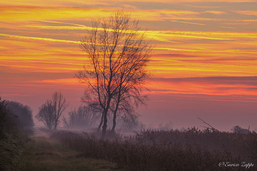 All'imbrunire Valle Mandriole s'ammanta d'un velo di nebbia che con i colori del dopo tramonto assume una cromia fatata.