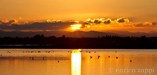 Saline di Cervia: uno degli innumerevoli meravigliosi tramonti che rendono questo ambiente naturale ancor più magico!