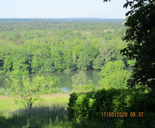 On ne le retrouvera jamais dans toute cette forêt immense !