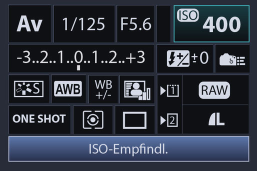 LCD Kameradisplay einer Spiegelreflexkamera Einstellungen Schnellmenüdisplay