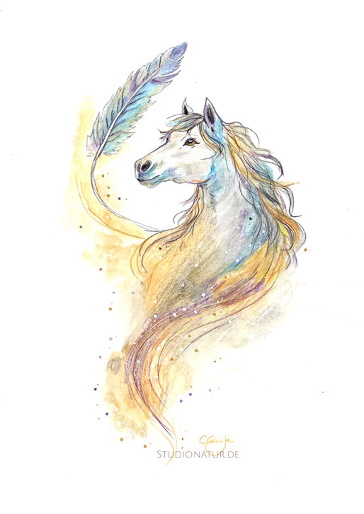 Pferd, Federpferd, Feder, horse, horselover, feather, Tattoo, Entwurf, Design, Aquarell, Illustration, contemporary art, zeitgenössische Kunst, spirit, horse art, horse watercolour, watercolor