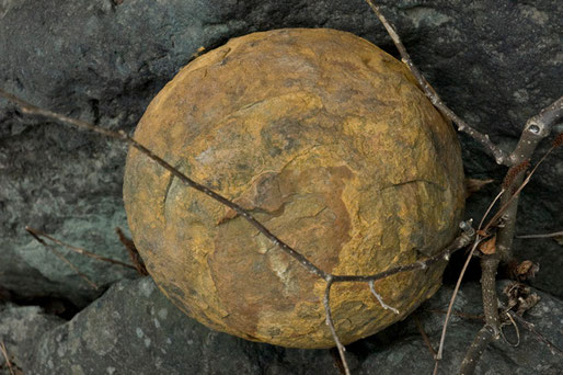 そこで不思議な球体の石を見ました。隕石みたいな石です。直径20㎝ぐらいです。
