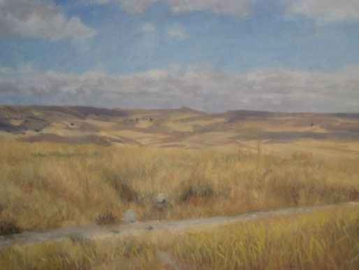 Campo en verano. Medinaceli