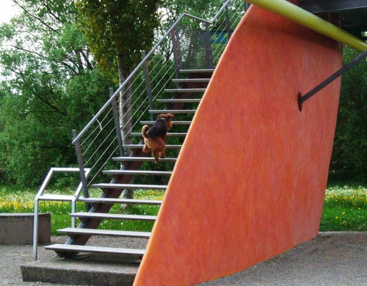 freitragende Treppen ? kein Problem