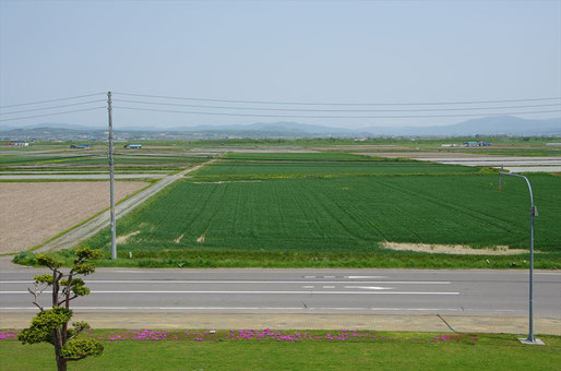 道の駅サンフラワー北竜