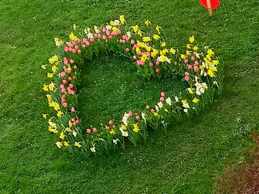 Blumenherz im Schulgarten