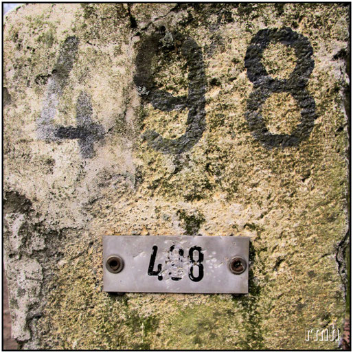 498