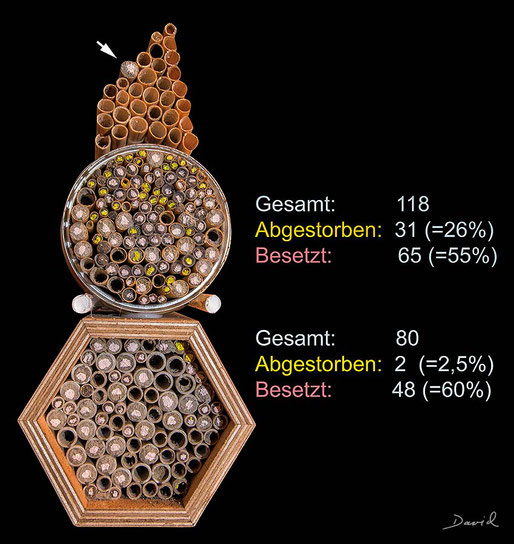 Farbig markierte Verschlußdeckel Insektenhotel Insektennisthilfe Nisthilfe Schilf  Pappröhrchen Strohhalme Wildbienen wildbee insect hotel nesting aid  reed 