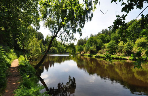 Brocéliande, Bretagne, Ile et vilaine