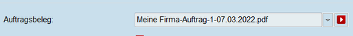 Auftrag Formular PDF anzeigen