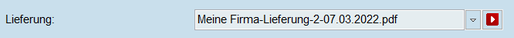Lieferschein Formular PDF anzeigen downloaden