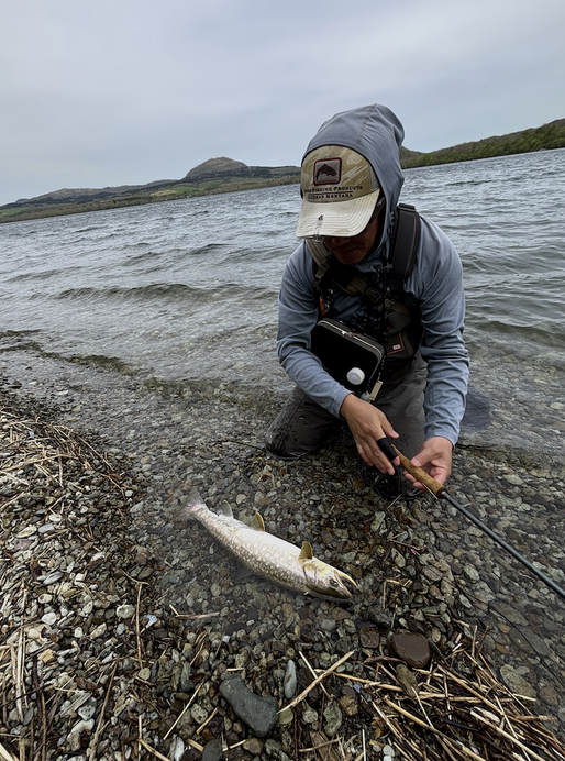 釣れたのは55cmのアメマス。Aさんが測ってくれました。湖のマスとしてはとりたてるほど大きくありませんが、自分の湖の釣りの感覚を確認できたことが何よりのご褒美。考えて釣るのは最高に面白い。Photographed by Aさん。