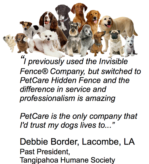 Best Invisible Fence® Alternative for an Electric Dog Fence PetCare