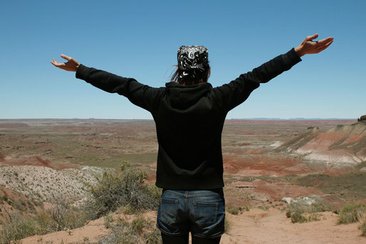 Painted Desert, USA, Nationalpark, Road Trip, Mietwagen