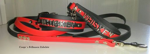 Biothane Hundhalsband und Leinen Set, Biothane Set, Hundeleine, Hundehalsband, Bullyhalsband, Bullyleine, Hundeführleine, Schlüsselanhänger Biothane, Hundehalsband mit Namen, 
