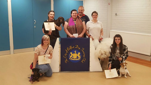 Komondor, Rasta, gaining his Bronze Canine Good Citizen award.