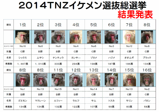 2014TNZイケメン選抜総選挙結果発表