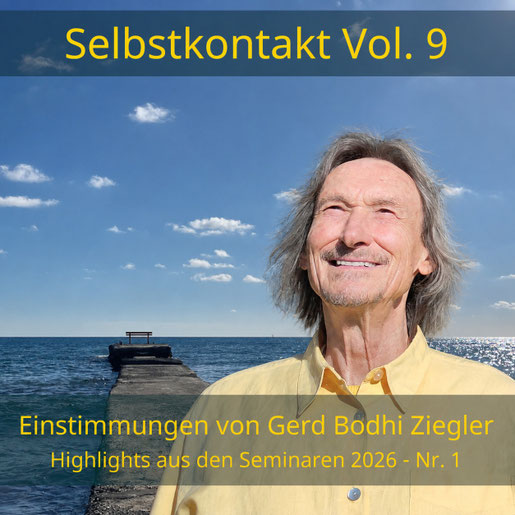 Coverbild Selbstkontakt Vol. 9