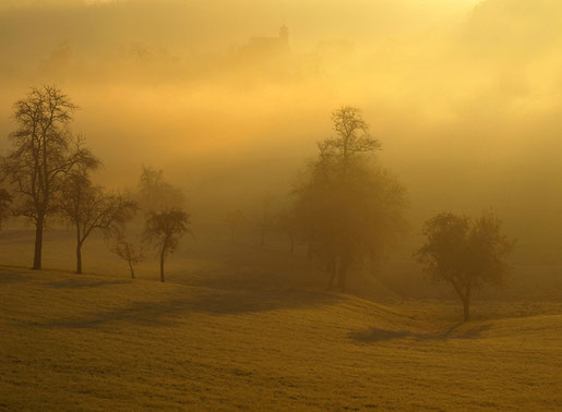 Pichl bei Wels, Nebel, Landschaft, Hartlauer Fotogalerie