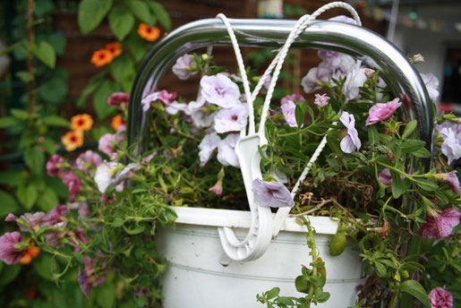 Caballo Couture; Upcycling Leiter; Trittleiter; Blumenleiter; Blumenampel; Gartendeko; Idee Balkon; Balkonblumen; Gartendekoration; Gartenzwerg; Kleiner Balkon; Terrasse Blumen; Garten