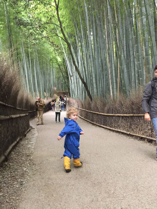 Kyoto - 7 Day Itinerary For Active Families with Small Kids - A Walk Through Arashiyama Bamboo Forest