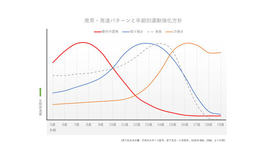発育・発達パターンと年齢別運動強化方針