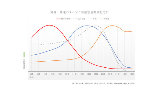 発育・発達パターンと年齢別運動強化方針